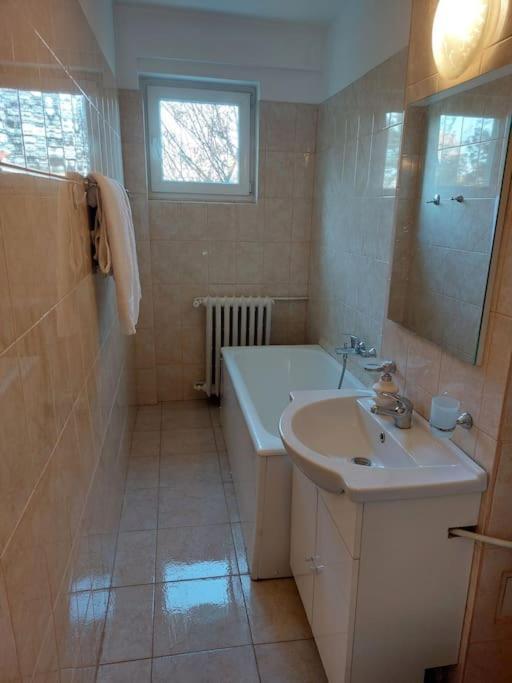 Garsoniera Centrala Renovata ブカレスト エクステリア 写真